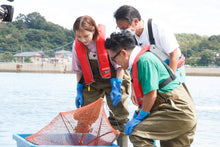 画像をギャラリービューアに読み込む, 《凍眠凍結》活き〆瞬間冷凍天草晩柑車海老 普通サイズ 300g(150g・6~8尾前後×2パック)<刺身でも食べられます><熨斗対応可>