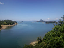 画像をギャラリービューアに読み込む, 《訳アリ商品》活き〆冷凍車海老<加熱用>900g(150g・5~10尾前後×6パック)