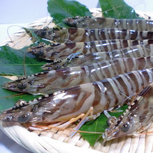 画像をギャラリービューアに読み込む, 《訳アリ商品》活き〆冷凍車海老<加熱用>900g(150g・5~10尾前後×6パック)