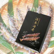 画像をギャラリービューアに読み込む, 熊本県天草産 活き車海老