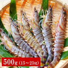 画像をギャラリービューアに読み込む, 活き天草晩柑車海老 500g