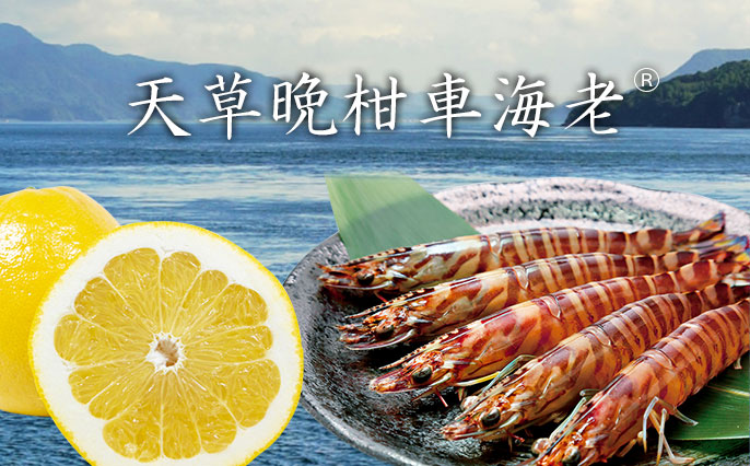 日興水産【公式】オンラインショップ海老の達人 | 天草晩柑車海老（車